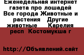 Еженедельная интернет - газета про лошадей - Все города Животные и растения » Другие животные   . Карелия респ.,Костомукша г.